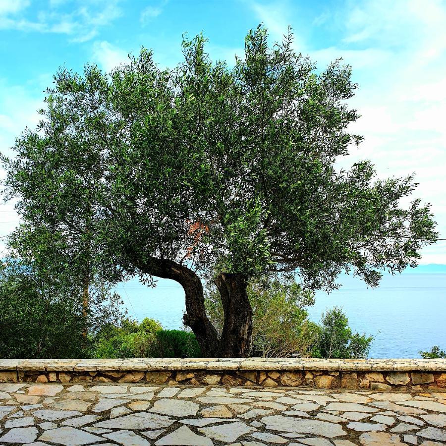 Nereidi Pool Villas Porto Ozias Eksteriør bilde